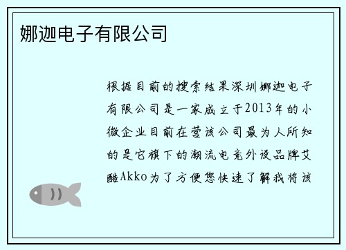 娜迦电子有限公司